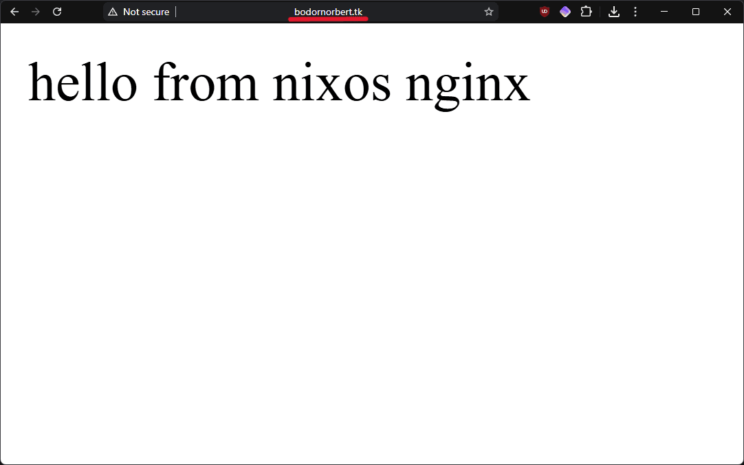 dns test