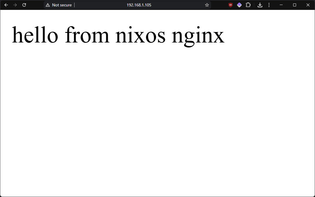 nginx test